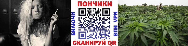 Купить закладку ГАШ  A PVP  Мефедрон  АМФ  Кокаин  Свободный