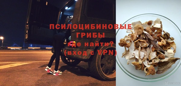 спиды Ладушкин