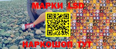 соль ск Новодвинск